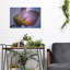«Bougainvillea Leaf» par Pamela Plummer-1347975523