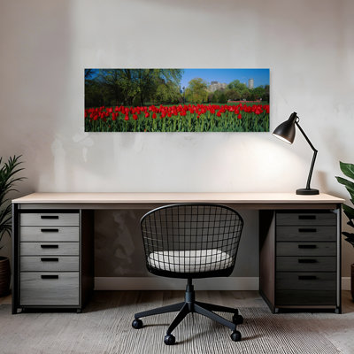 Tulips In A Garden, Boston Public Garden, Boston, Massachusetts, Usa Modern Abstract Tulip Architecture City Wall Art