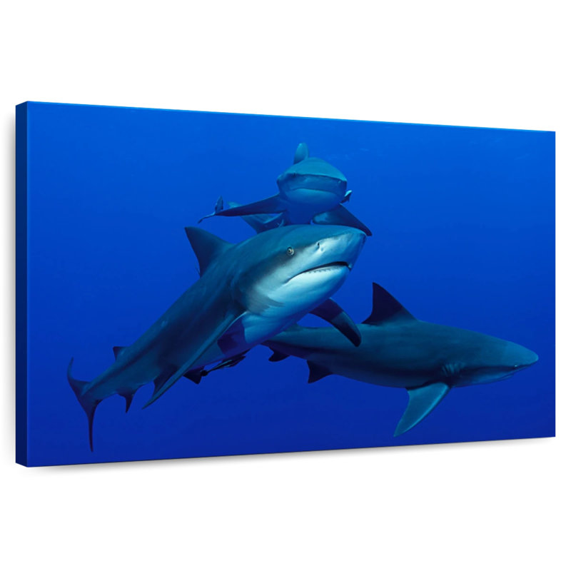 Triple Sharks, 26" H x 39" W