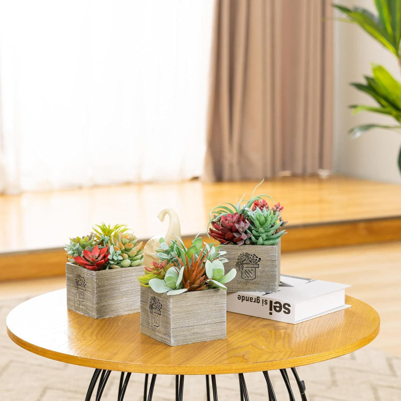 14cm Plant