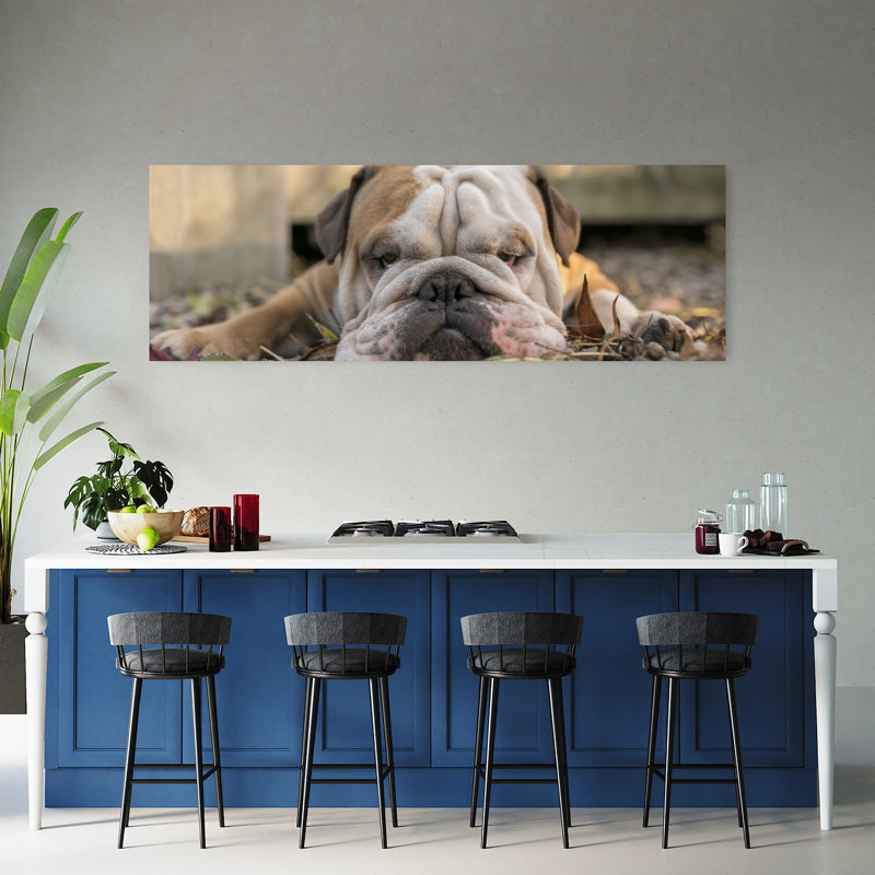 Sleepy Bulldog Resting 1 Piece Wrapped Canvas Panoramic Wall Art, 152.4 cm H x 50.8 cm W
