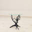 Glass End Table