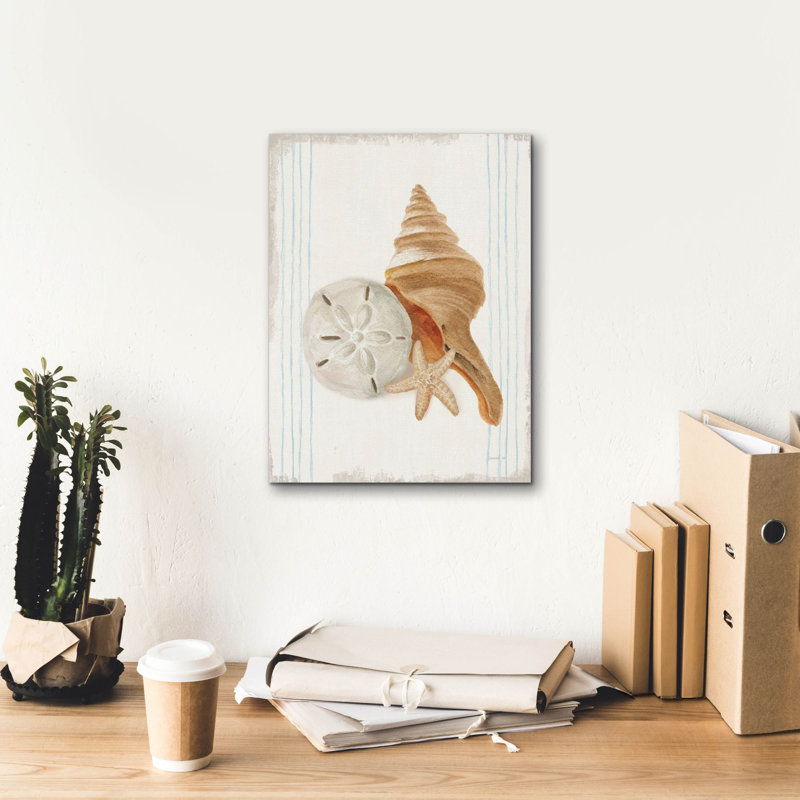 'Floursack Nautical Shells 3'  by Danhui Nai Canvas Wall Art, 16" H x 12" W
