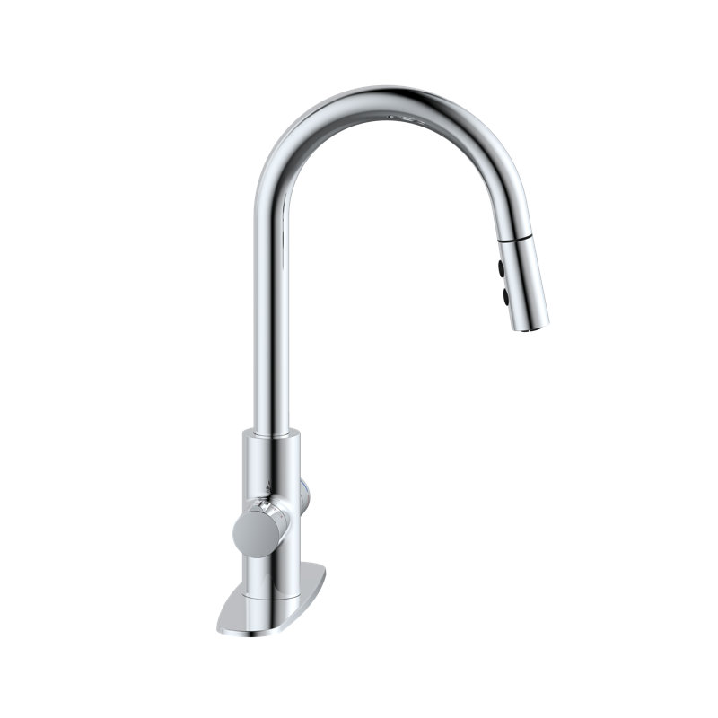 Robinet de cuisine 4 en 1 à poignée simple avec bouton-poussoir et douchette extractible, Chrome poli