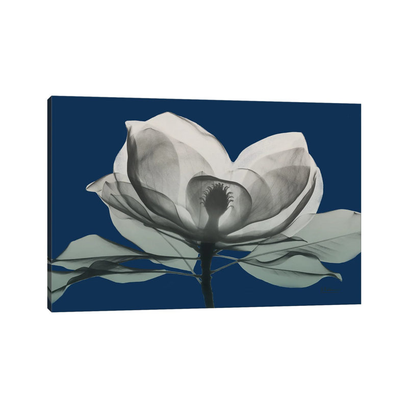 Navy Magnolia I by Albert Koetsier - Gallery-Wrapped Canvas Giclée on Canvas, 101.6 cm H x 66.04 cm W x 3.175 cm D