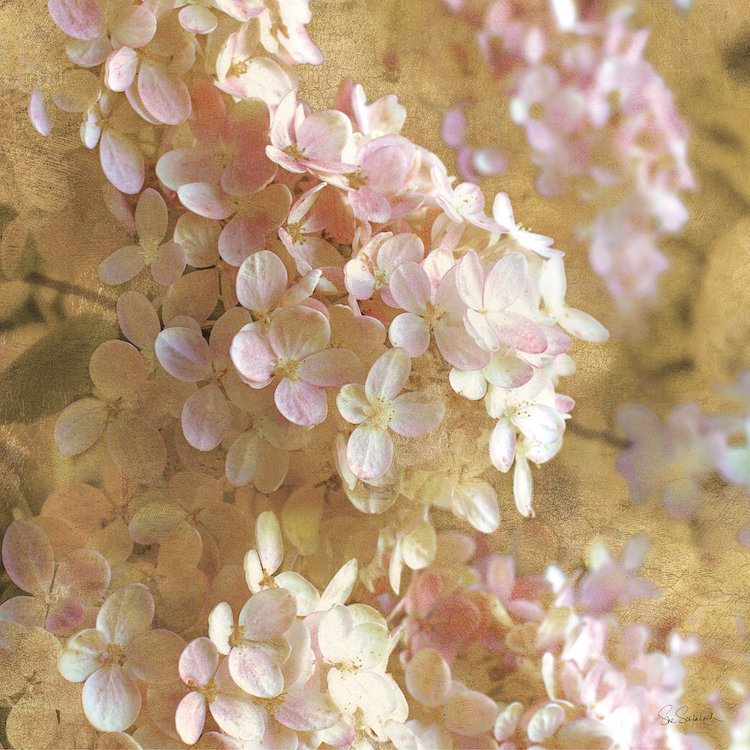 «Gilded Hydrangea I», impression sur toile tendue, H 12 po x l 12 po x P 1,5 po, Toile tendue, Pas de tapis