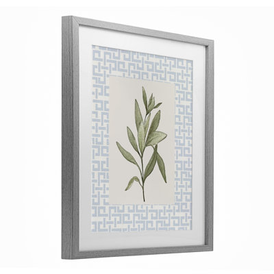 Leafy Fresh Herb Framed Print Under Glass, design by Diannart