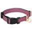 Pet Carrier-1521727703