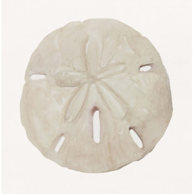 Sea Shell 8 Print