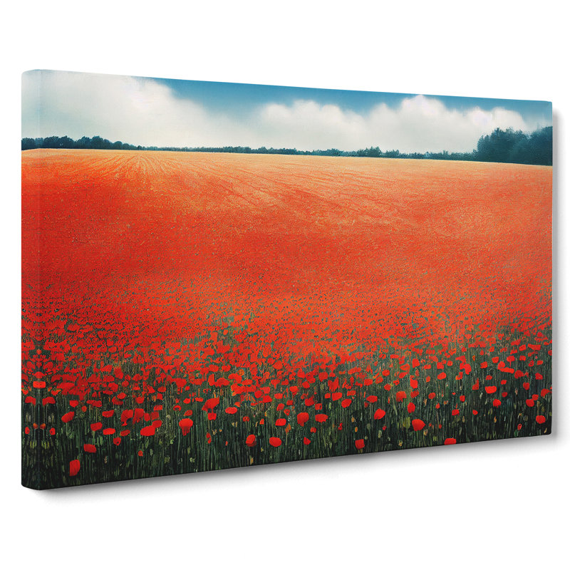 Legendary Poppy Field Flowers - Wrapped Canvas, 35cm H x 50cm W x 3cm D