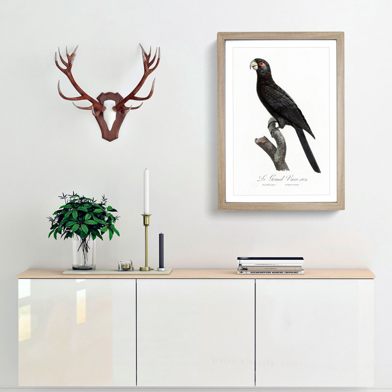 Greater Vasa Parrot by F. Levaillant - Picture Frame Painting Print, Oak Framed, 36cm H x 27cm W x 2cm D