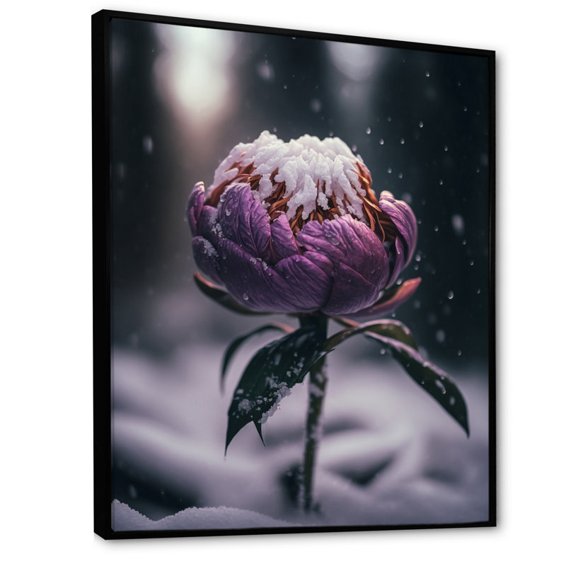 «A Blooming Puple Peony Flower in Winter I», impression sur toile, H 44 po x l 34 po x P 1,5 po