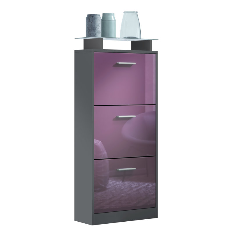 12 Pair Shoe Storage Cabinet, Anthracite/Blackberry