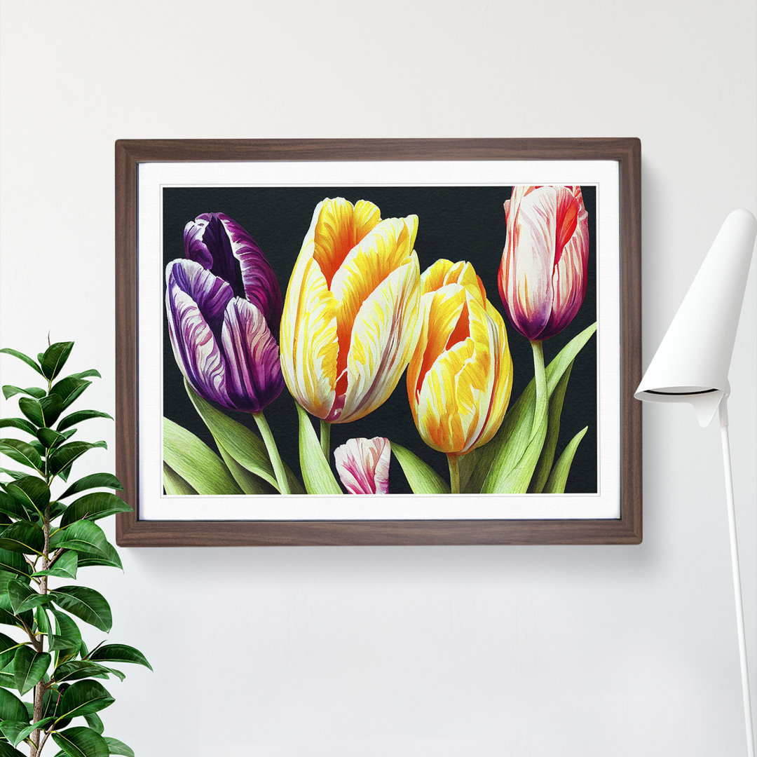 Pleasant Tulip Flowers - Single Picture Frame Print