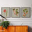 «Botanical Array IV», ensemble de 3 reproductions d'art sur toile-908556557-908556561