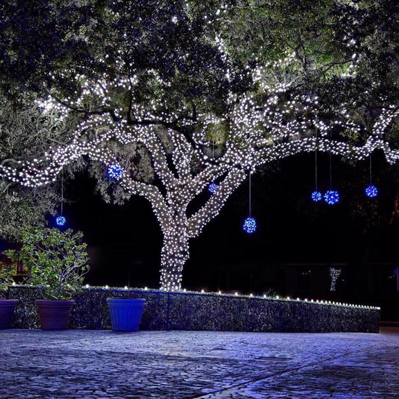 Guirlande de lumières de Noël 50 pi., Blanc pur