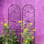 86.7"X19.7" Rustproof Metal Trellis, For Pea Vines, Outdoor Garden Support Screen, Black 2 Pack Jasmine Flowers, Holder,