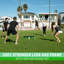 GoSports Slammo PRO Game Set- Roundnet Beach Outdoor Lawn Gamet Set