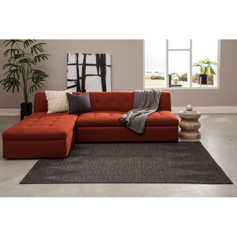 Tapis gris anthracite Raven, Rectangle 5 pi x 7 pi 6 po