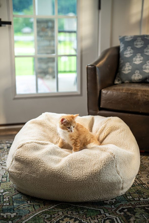 Shop Cat Beds