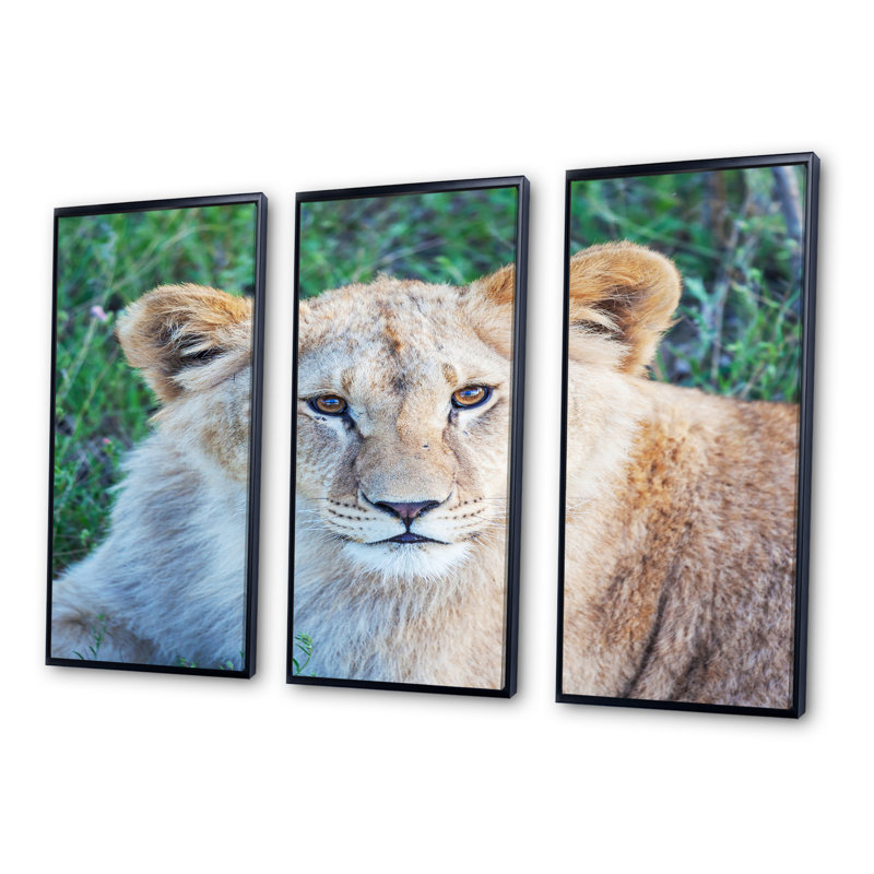 Grand lion se détendant dans la forêt - ensemble d'art mural sur toile encadré 3 animaux, Cadre noir