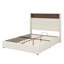 Soft Quilted Bed Frame with USB Ports, Ambient Night Light, and Decorative Rivets-1523413350