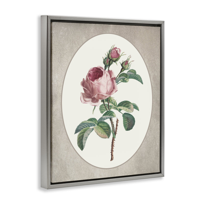 Rose rétro dans un cadre flottant ovale, design par lettré et doublé, H 21 po x l 17 po, Cadre flottant gris lustré