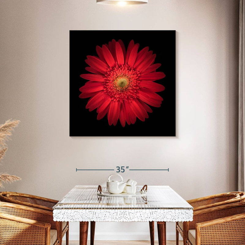 Arney Bright Red Daisy, 39" H x 39" W