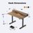 Electric Standing Desk With Drawers,Home Office Height Adjustable  Desk with Large Monitor Shelf-2022676708-2022635911