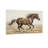 Animals Running Horse On Sandy Ground