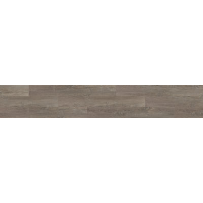 Revêtement de sol en vinyle à coller 6 po x 48 po Daltile Cyrose