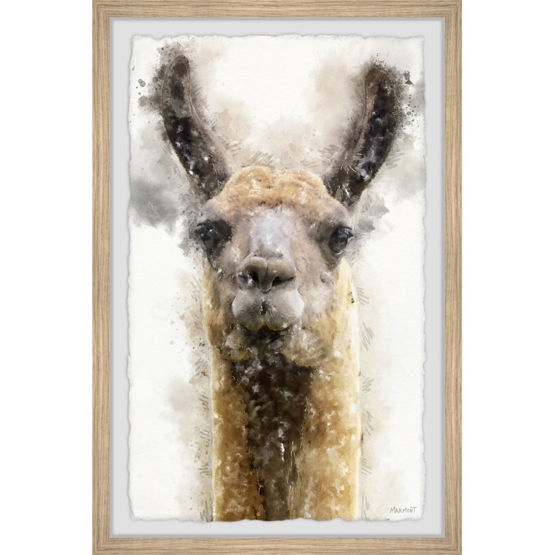 Grumpy Llama by Marmont Hill - Single Picture Frame Painting, 30cm H x 20cm W