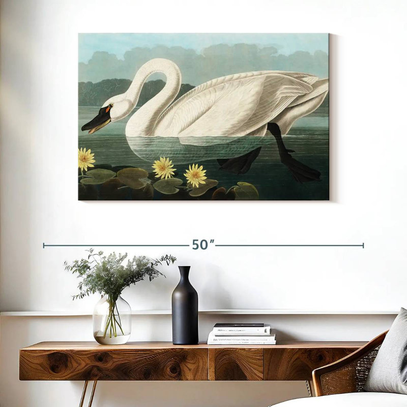Brampt Common American Swan, 26" H x 39" W