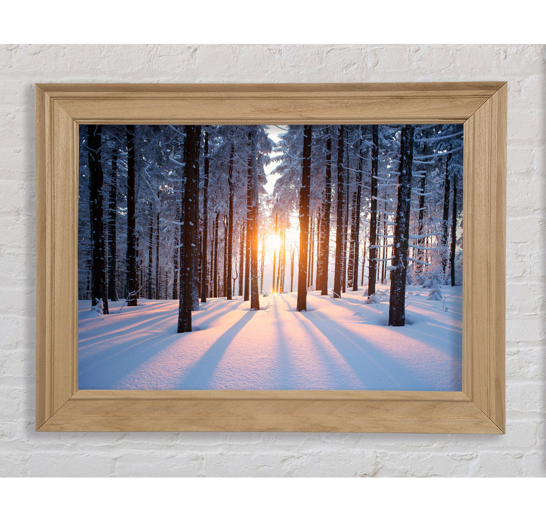 Sun Burst Snow Trees - Einzelne Bilderrahmen Kunstdrucke