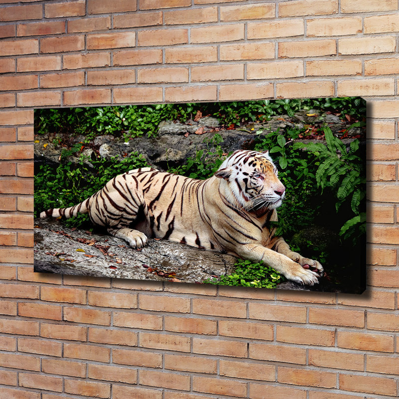1 Piece Wall Art, 60cm H x 120cm W, Canvas