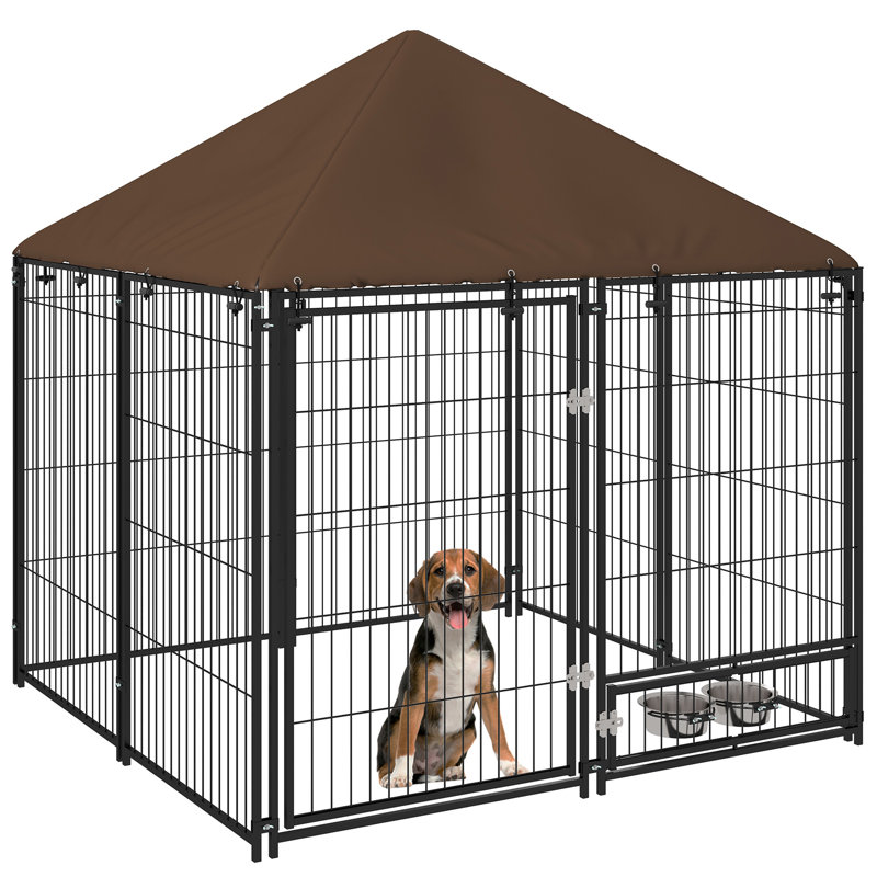Outside Dog Kennel