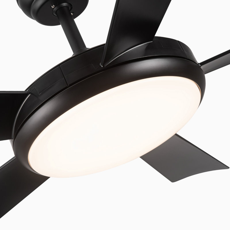 5 lumières DEL intelligentes standard avec télécommande et ensemble d'éclairage inclus, Noir