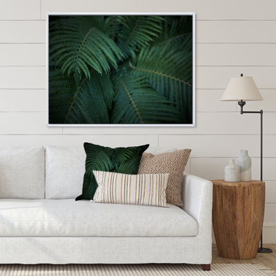 Feuilles de fougère la nuit - photographie sur toile