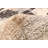 Tangier Tan Rug 8'1" x 9'10"