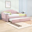 Tamez Full Wooden Daybed Frame with Shall Shaped Backrest and Trundle-1494091386