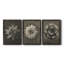 «Blossfeldt Flower I», ensemble de 3 reproductions de photos sur toile-407649716-407649714