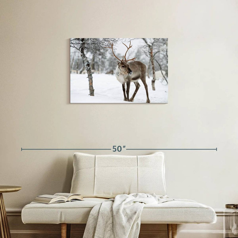 Lapland Reindeer, 20" H x 30" W