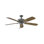 Ventilateur de plafond standard à 5 pales de 60 po avec chaînette Oasis