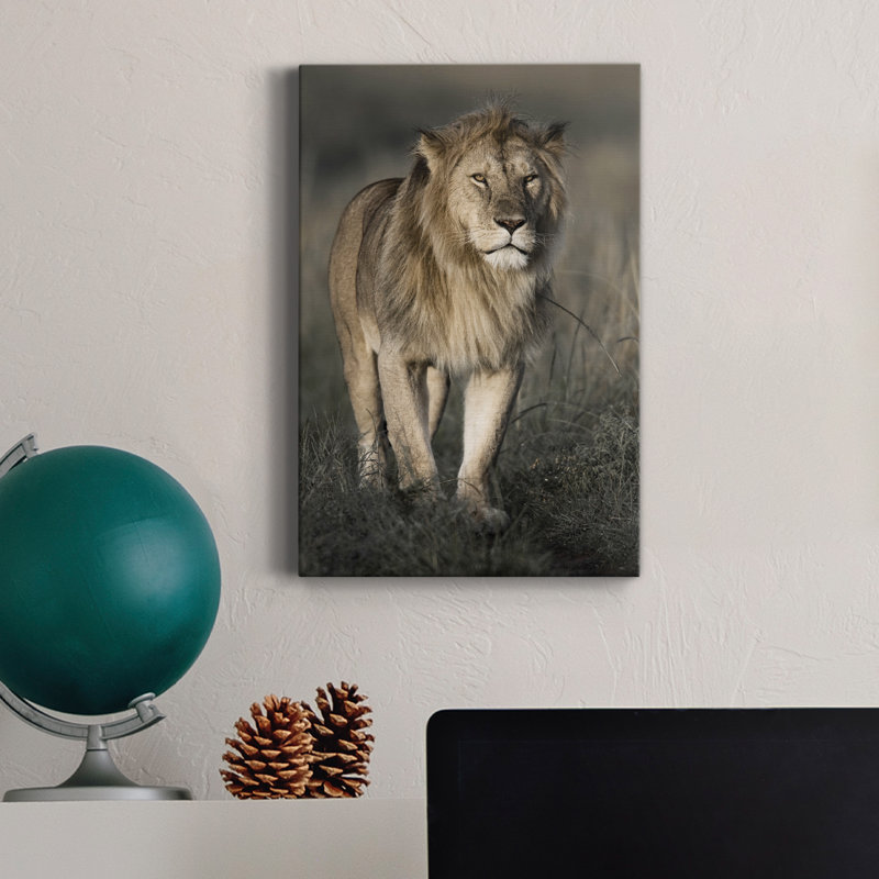 Morning Walk in Masai Mara - Photographie sur toile tendue, H 27 po x l 18 po x P 1 po