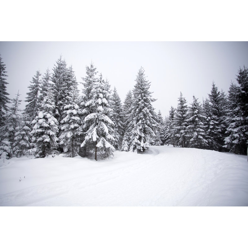 Snowy Path - Photographie sur toile tendue, H 8 po x l 12 po x P 1 po