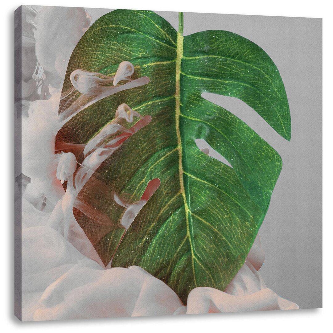 Leinwandbild Monstera Blatt mit Paste Wolke B&W Detail