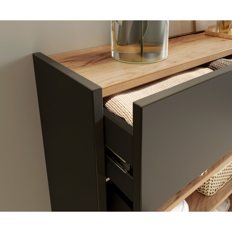 Soza 10 Pair Shoe Storage Cabinet, Graphite