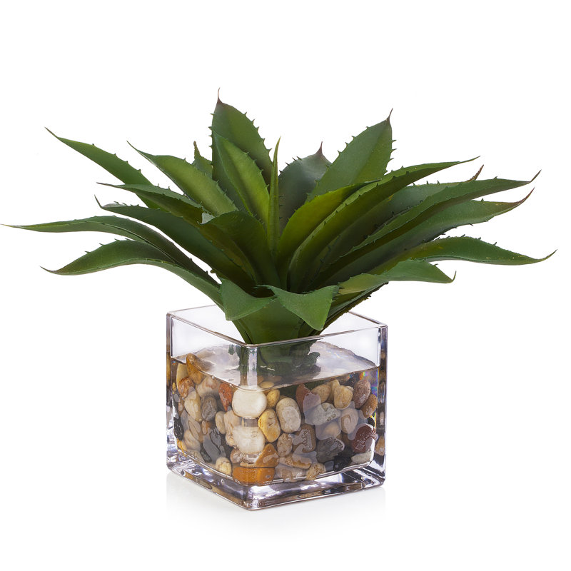 Plante grasse artificielle 10 po dans un vase