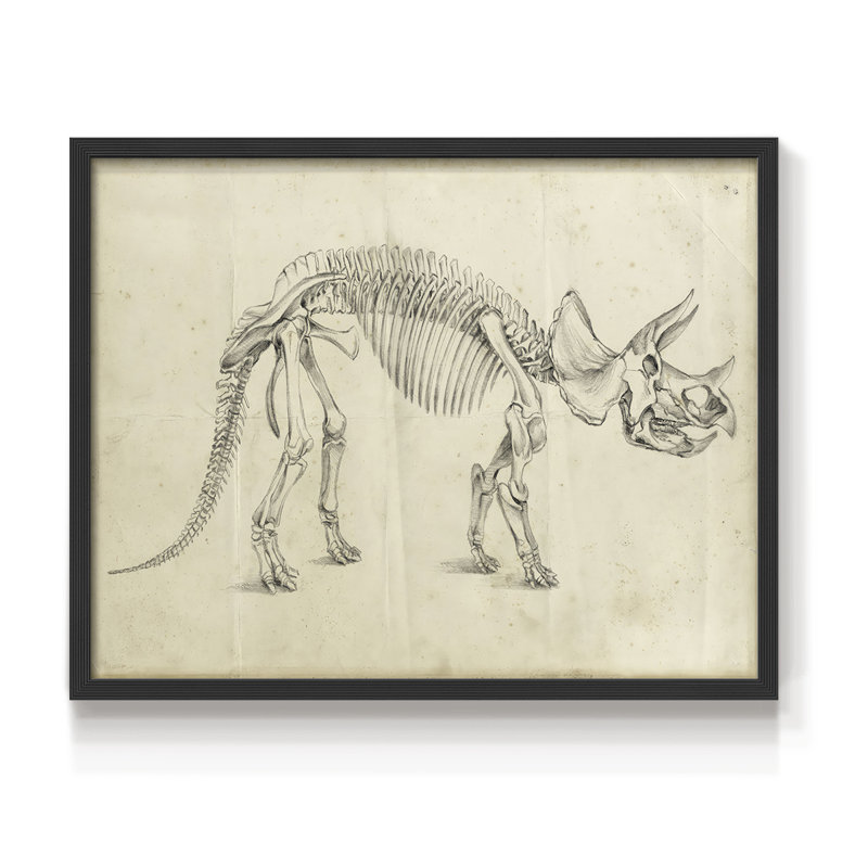 «Dinosaur Study II», reproduction encadrée, Noir, noir, noir, noir, H 16 po x l 20 po