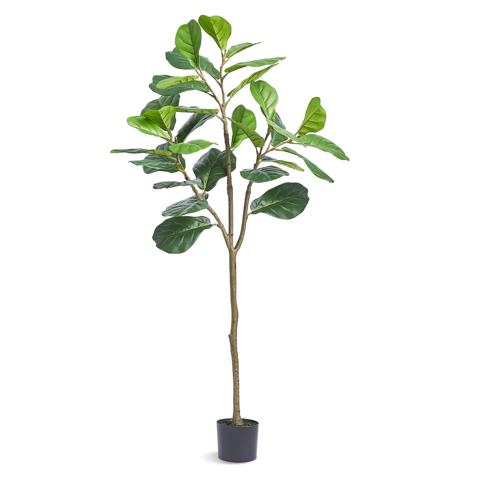 Primrue 71.26'' Faux Eucalyptus Tree Tree in Planter | Wayfair